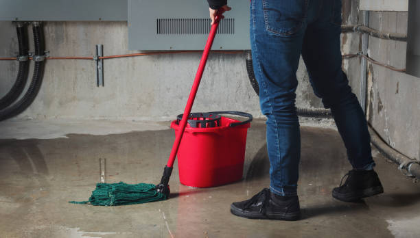 Best Fire Damage Restoration  in Brewerton, NY