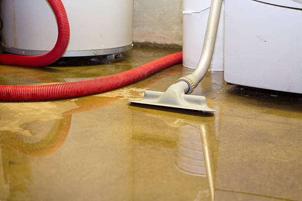 Best Flood damage cleanup  in Brewerton, NY