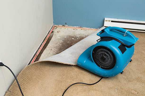 Best Flood damage cleanup  in Brewerton, NY